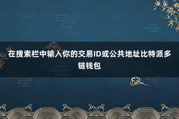 在搜索栏中输入你的交易ID或公共地址比特派多链钱包