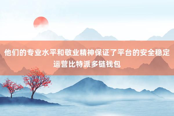 他们的专业水平和敬业精神保证了平台的安全稳定运营比特派多链钱包