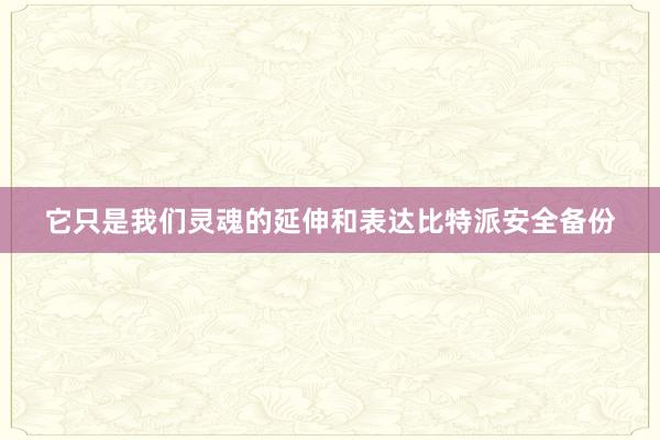 它只是我们灵魂的延伸和表达比特派安全备份