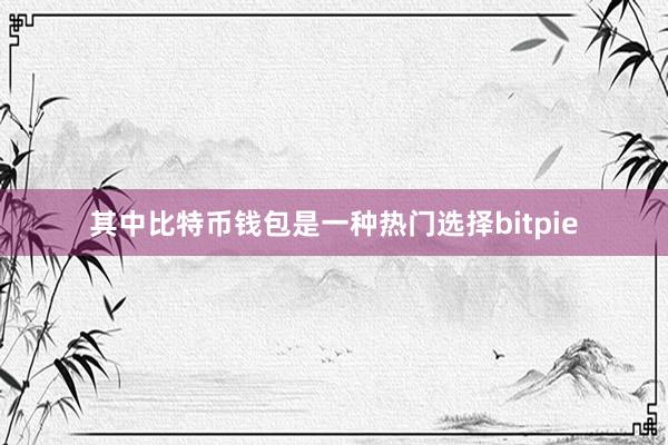 其中比特币钱包是一种热门选择bitpie