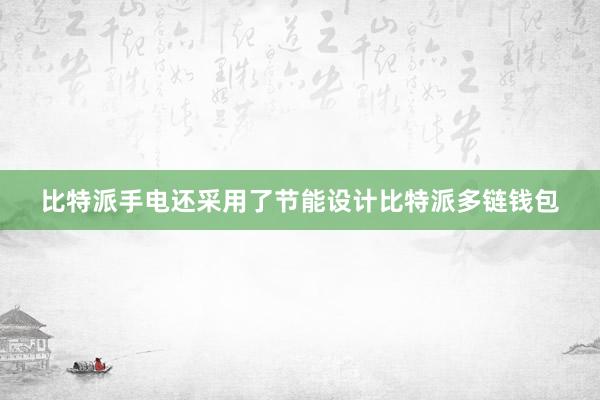 比特派手电还采用了节能设计比特派多链钱包