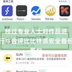 经过专业人士对作品进行综合评比比特派安全备份