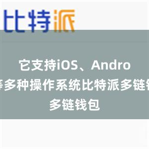 它支持iOS、Android等多种操作系统比特派多链钱包